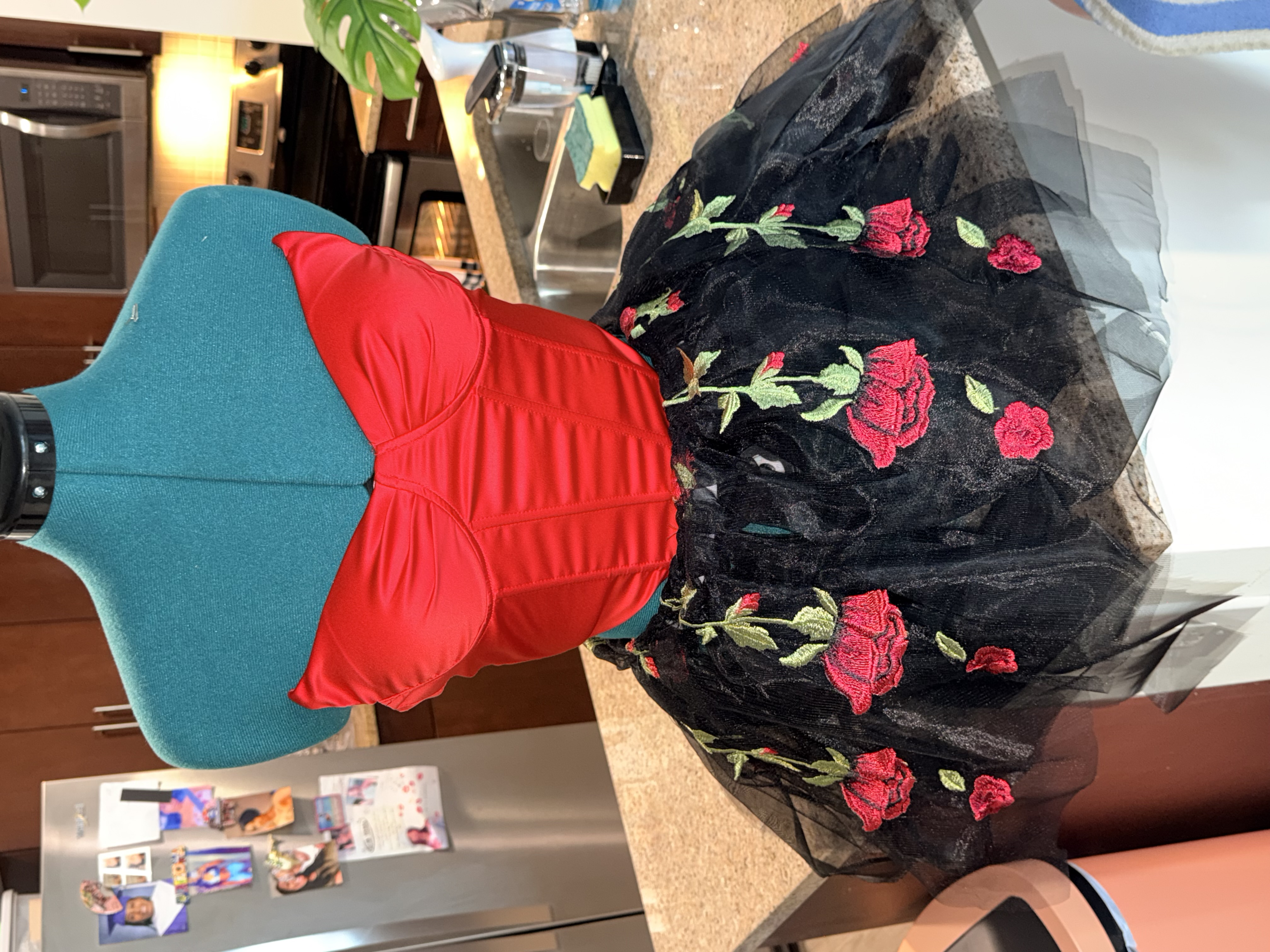 Roses After Midnight Skirt